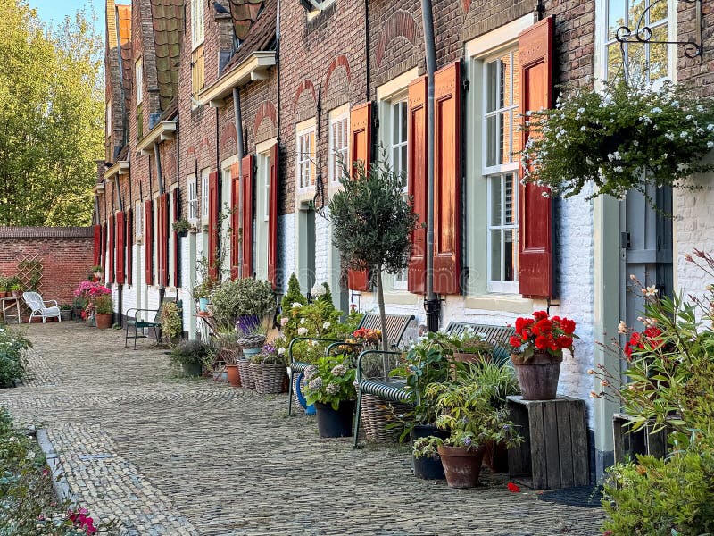 Quiet residential street with traditional houses